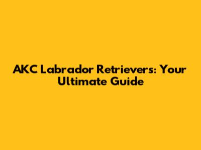 AKC Labrador Retrievers: Your Ultimate Guide