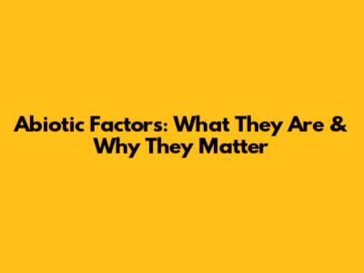 Abiotic Factors: What They Are & Why They Matter