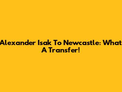 Alexander Isak To Newcastle: What A Transfer!