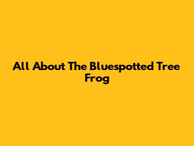 All About The Bluespotted Tree Frog
