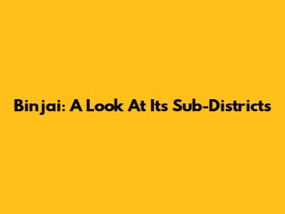 Binjai: A Look At Its Sub-Districts
