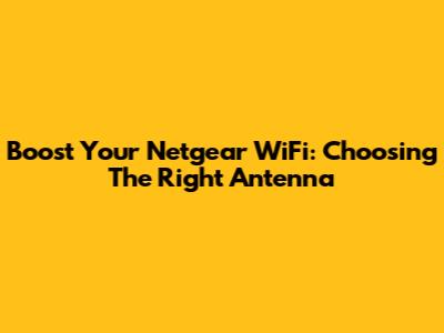 Boost Your Netgear WiFi: Choosing The Right Antenna