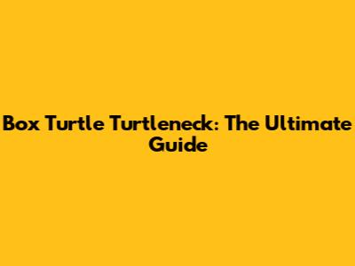 Box Turtle Turtleneck: The Ultimate Guide
