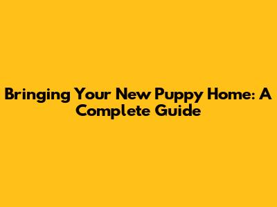 Bringing Your New Puppy Home: A Complete Guide