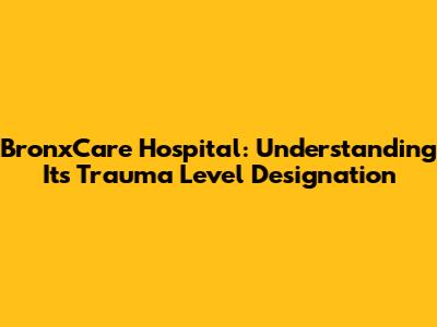 BronxCare Hospital: Understanding Its Trauma Level Designation