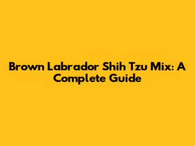 Brown Labrador Shih Tzu Mix: A Complete Guide