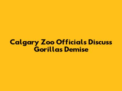 Calgary Zoo Officials Discuss Gorilla's Demise