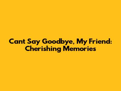 Can't Say Goodbye, My Friend: Cherishing Memories
