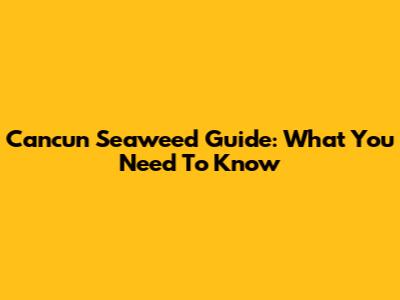 Cancun Seaweed Guide: What You Need To Know
