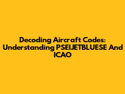 Decoding Aircraft Codes: Understanding PSEIJETBLUESE And ICAO