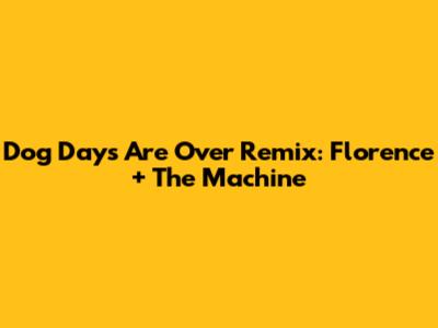 Dog Days Are Over Remix: Florence + The Machine
