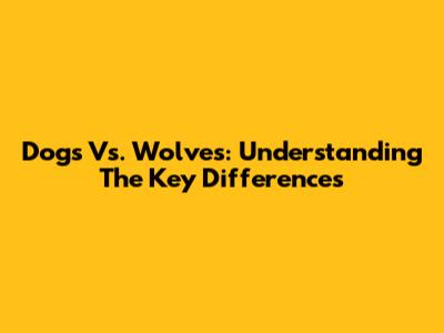 Dogs Vs. Wolves: Understanding The Key Differences