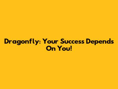 Dragonfly: Your Success Depends On You!