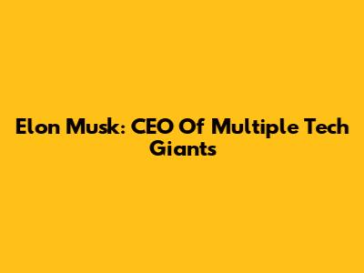Elon Musk: CEO Of Multiple Tech Giants