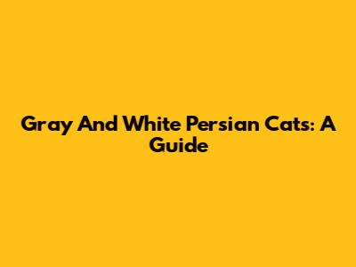 Gray And White Persian Cats: A Guide
