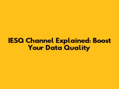 IESQ Channel Explained: Boost Your Data Quality