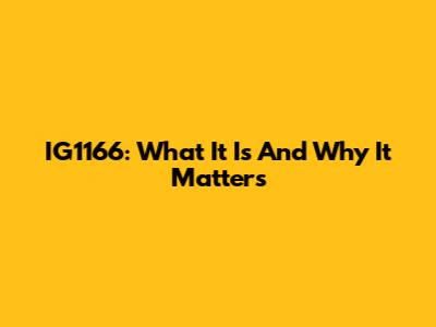 IG1166: What It Is And Why It Matters