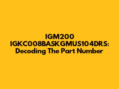 IGM200 IGKC008BASKGMUS104DRS: Decoding The Part Number