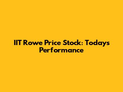 IIT Rowe Price Stock: Today's Performance