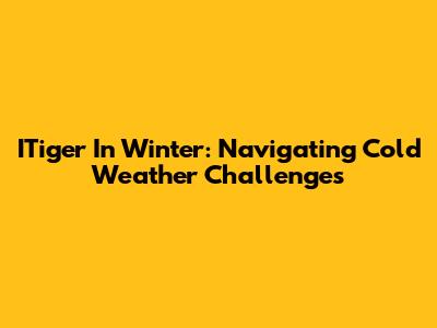 ITiger In Winter: Navigating Cold Weather Challenges