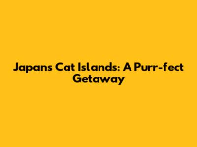 Japan's Cat Islands: A Purr-fect Getaway