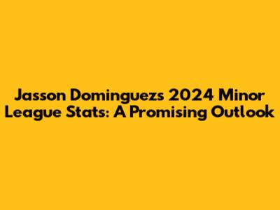 Jasson Dominguez's 2024 Minor League Stats: A Promising Outlook