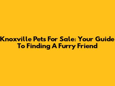 Knoxville Pets For Sale: Your Guide To Finding A Furry Friend