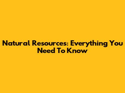 Natural Resources: Everything You Need To Know