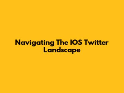 Navigating The IOS Twitter Landscape