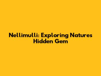 Nellimulli: Exploring Nature's Hidden Gem