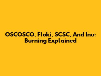 OSCOSCO, Floki, SCSC, And Inu: Burning Explained