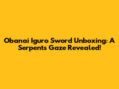 Obanai Iguro Sword Unboxing: A Serpent's Gaze Revealed!