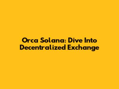 Orca Solana: Dive Into Decentralized Exchange
