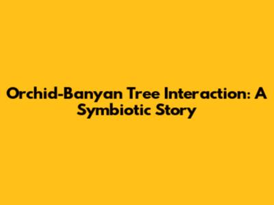 Orchid-Banyan Tree Interaction: A Symbiotic Story