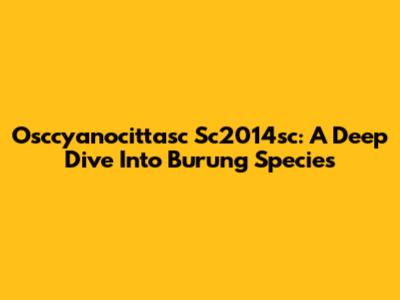 Osccyanocittasc Sc2014sc: A Deep Dive Into Burung Species