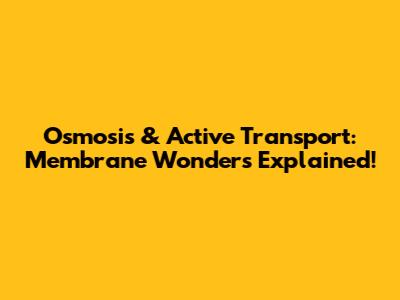 Osmosis & Active Transport: Membrane Wonders Explained!