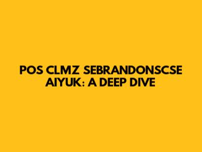 POS CLMZ SEBRANDONSCSE AIYUK: A DEEP DIVE