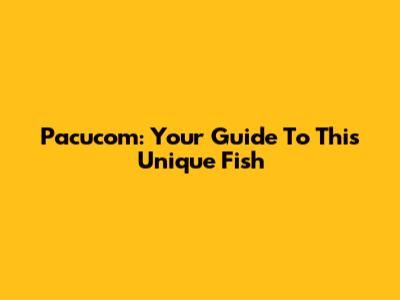 Pacucom: Your Guide To This Unique Fish