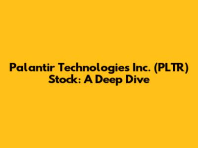 Palantir Technologies Inc. (PLTR) Stock: A Deep Dive