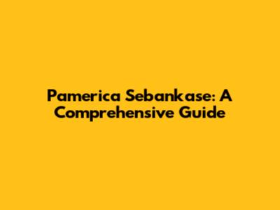 Pamerica Sebankase: A Comprehensive Guide