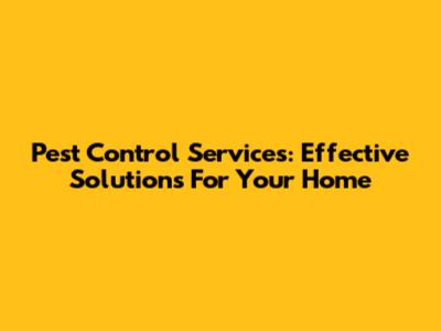 Pest Control Services: Effective Solutions For Your Home