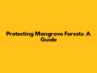 Protecting Mangrove Forests: A Guide