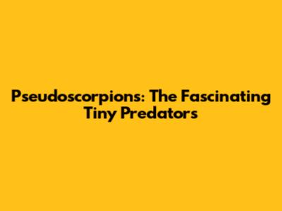 Pseudoscorpions: The Fascinating Tiny Predators