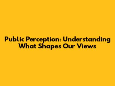 Public Perception: Understanding What Shapes Our Views