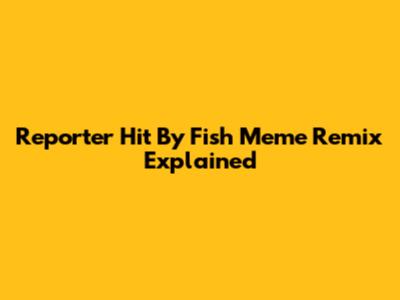 Reporter Hit By Fish Meme Remix Explained