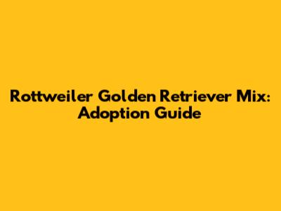 Rottweiler Golden Retriever Mix: Adoption Guide