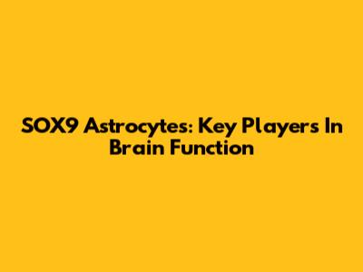SOX9 Astrocytes: Key Players In Brain Function