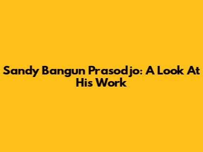 Sandy Bangun Prasodjo: A Look At His Work