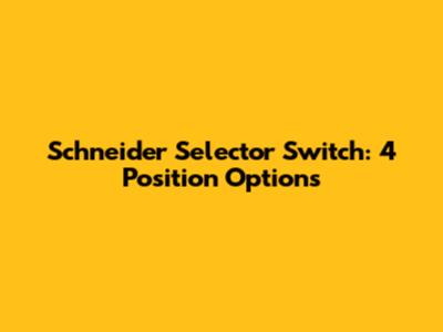 Schneider Selector Switch: 4 Position Options