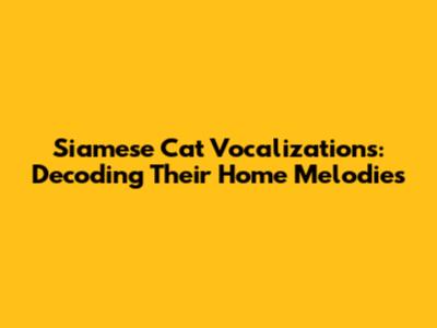 Siamese Cat Vocalizations: Decoding Their Home Melodies